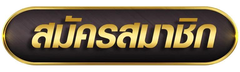 กระเป๋าเดียว (Single Wallet)